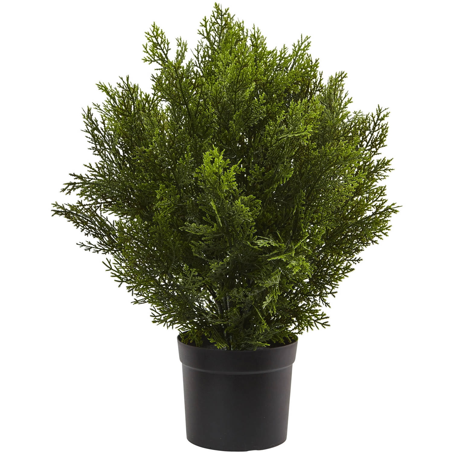 2-Foot Faux Cedar Bush in Black Plastic Pot