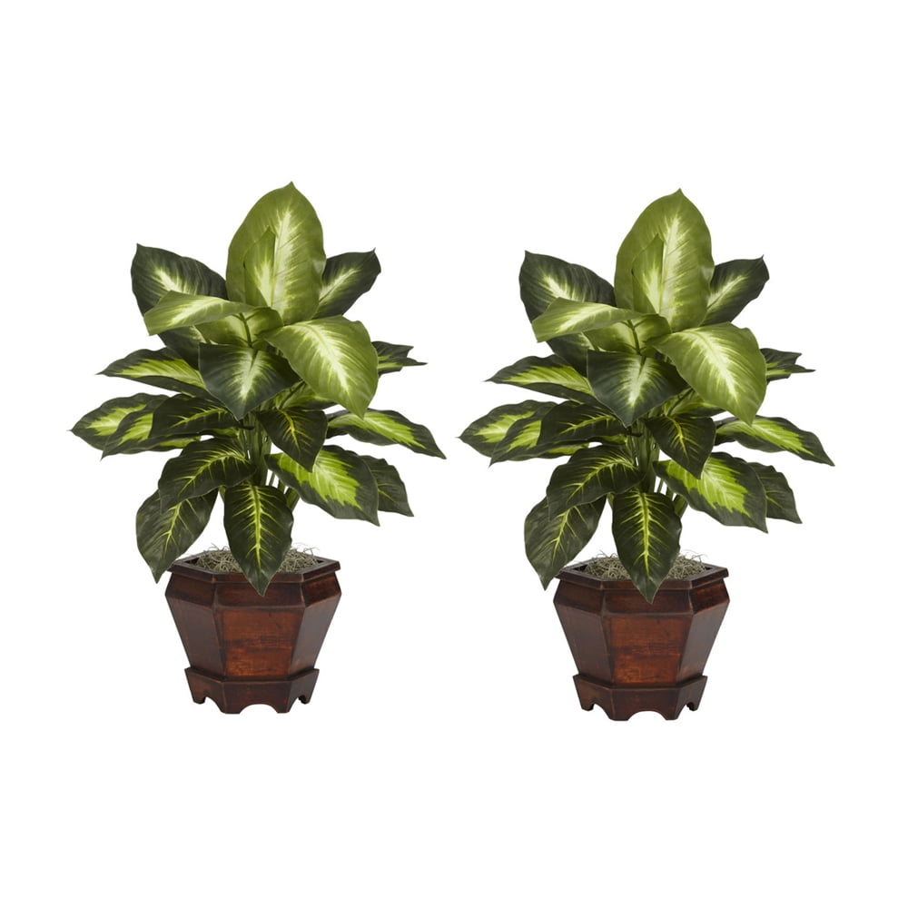 Lush Two-Tone Dieffenbachia Silk Plant Duo with Wooden Vase