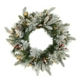 thumbnail image 1 of Nearly Natural 20" Flocked Mixed Pine  Christmas Wreath with 50 LED Lights, 1 of 3