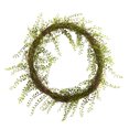 thumbnail image 1 of Nearly Natural 20" Night Willow Artificial Vine Wreath, 1 of 3
