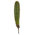 thumbnail image 1 of Nearly Natural 20" Plastic/Polyester Cactus Artificial Plant (Set of 3), Green, 1 of 2