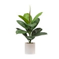 thumbnail image 1 of Nearly Natural 20in. Artificial Fiddle Leaf Fig Plant, 1 of 8