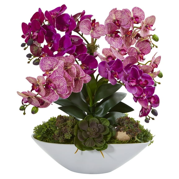 Nearly Natural 20in. Phalaenopsis Orchid and Succulent Artificial Arrangement in White Vase, Purple