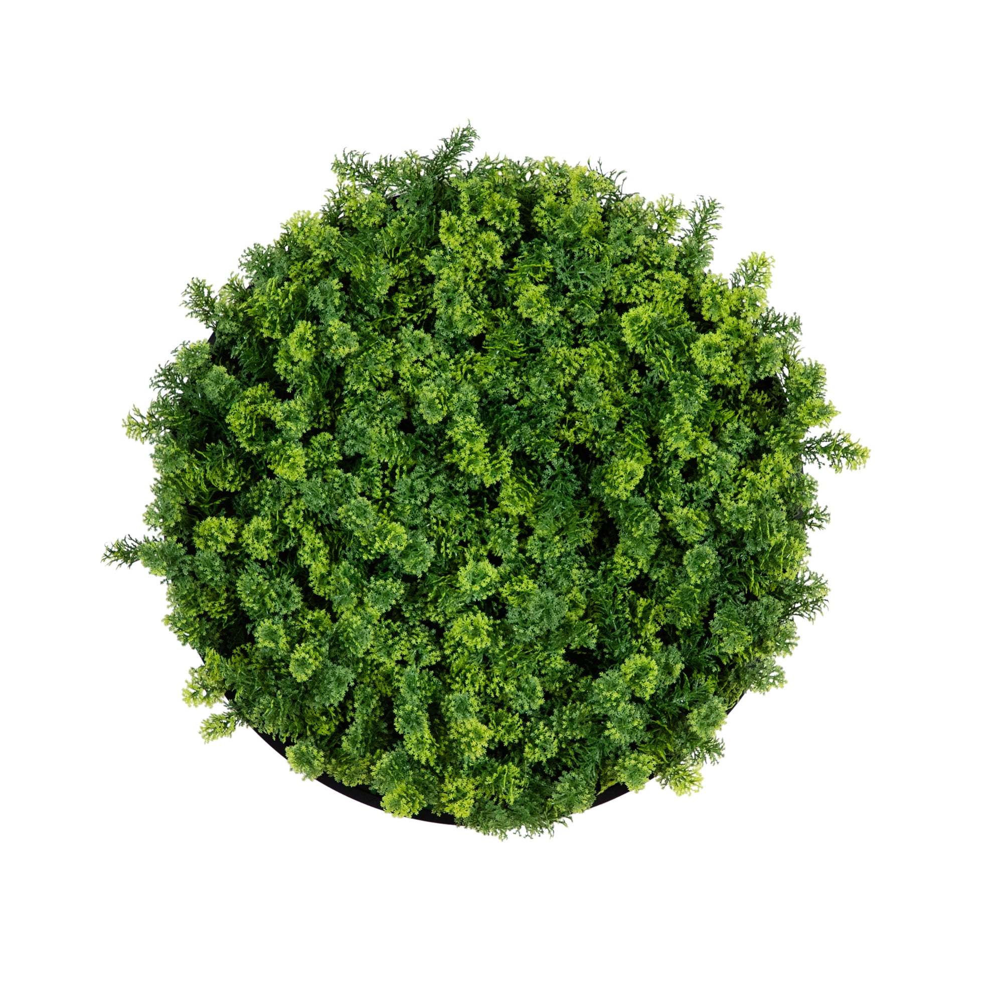 20-Inch Green Artificial Living Wall Panel with Black Frame