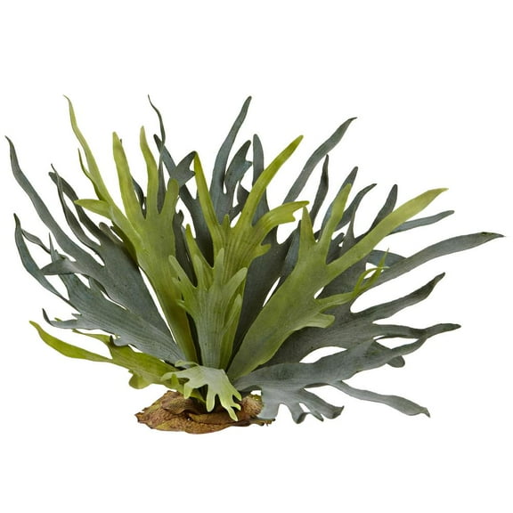Nearly Natural 21in. Staghorn Fern (Set of 2)