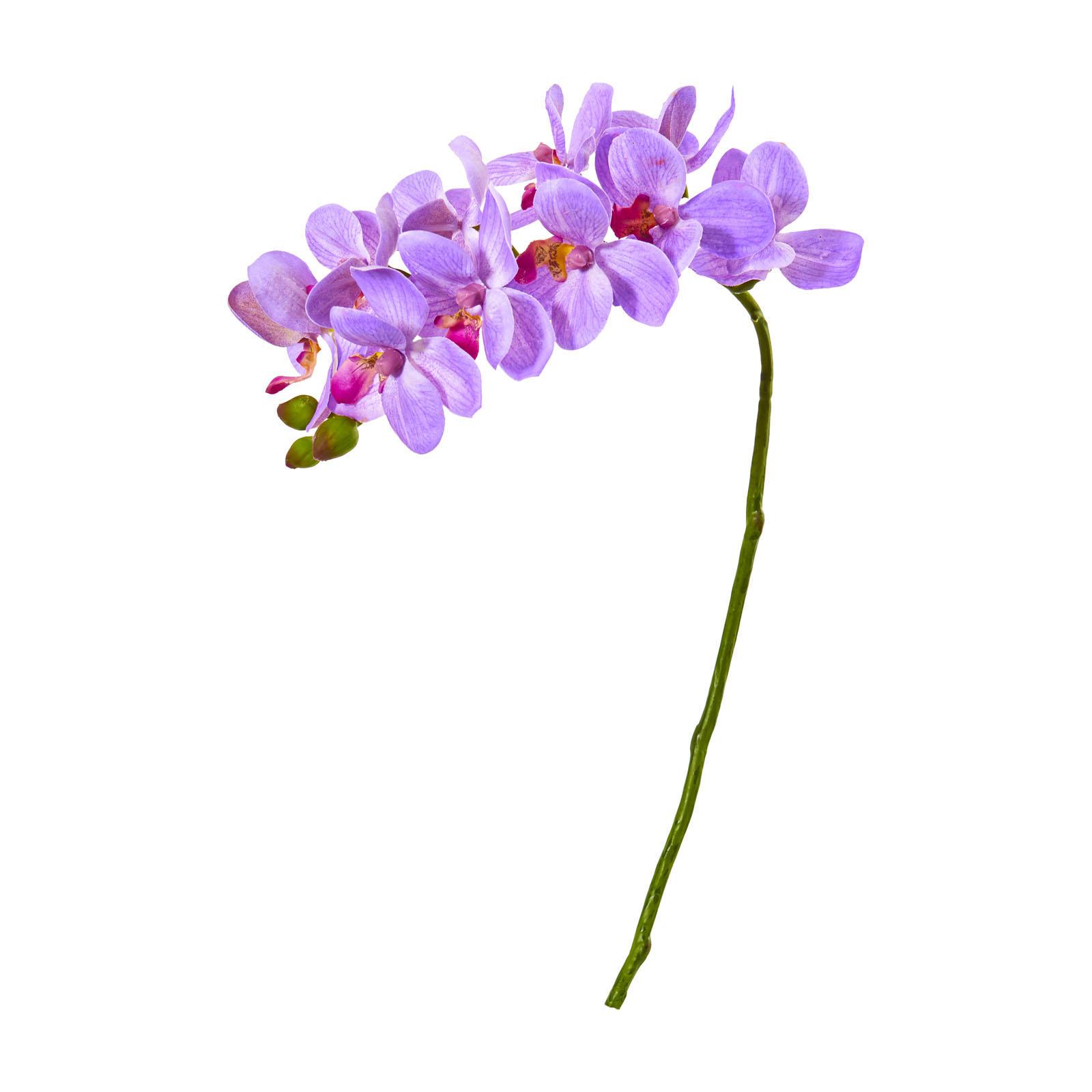 Nearly Natural 21 in. Phalaenopsis Orchid Artificial Flower Set of 6