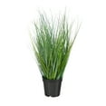 thumbnail image 1 of Nearly Natural 21in. Onion Grass Plastic Artificial Plant, 1 of 3