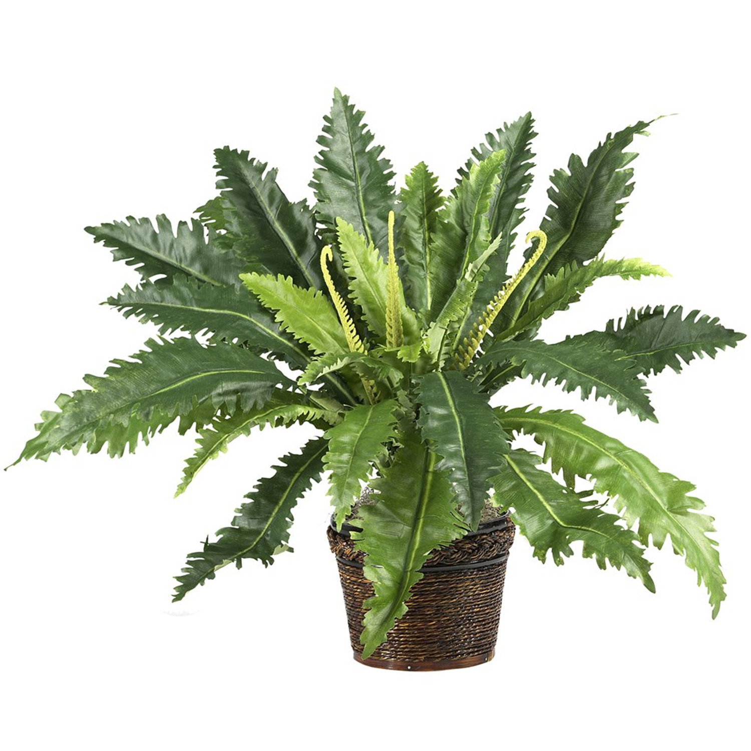 Nearly Natural 22" Marginatum Artificial Plant With Wicker Basket, Green - image 1 of 2