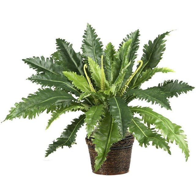 Nearly Natural 22" Marginatum Artificial Plant With Wicker Basket, Green
