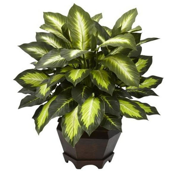 Nearly Natural 22" Triple Golden Dieffenbachia Artificial Plant with Wood Vase, Green