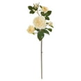 thumbnail image 1 of Nearly Natural 23in. Chelsea Artificial Flower (Set of 6), 1 of 2