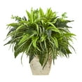 thumbnail image 1 of Nearly Natural 23in. Mixed Greens and Fern Artificial Plant in White Planter, 1 of 2