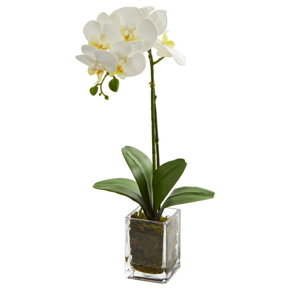 Nearly Natural 24" Orchid Phalaenopsis Artificial Flower Arrangement in Vase, Cream