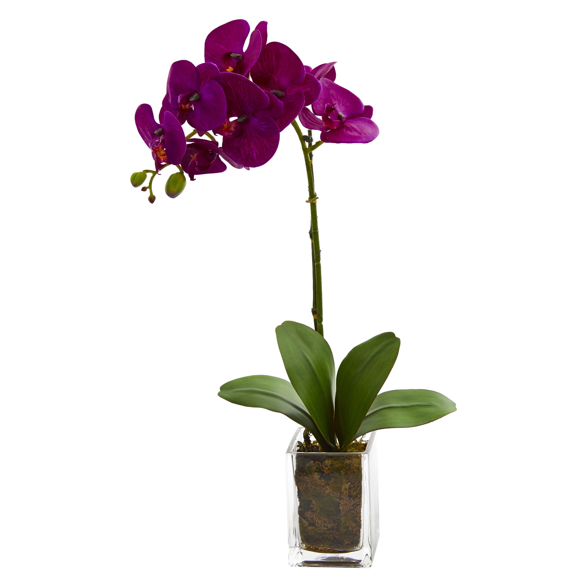 Nearly Natural 24 Orchid Phalaenopsis Artificial Flower Arrangement In Vase Mauve