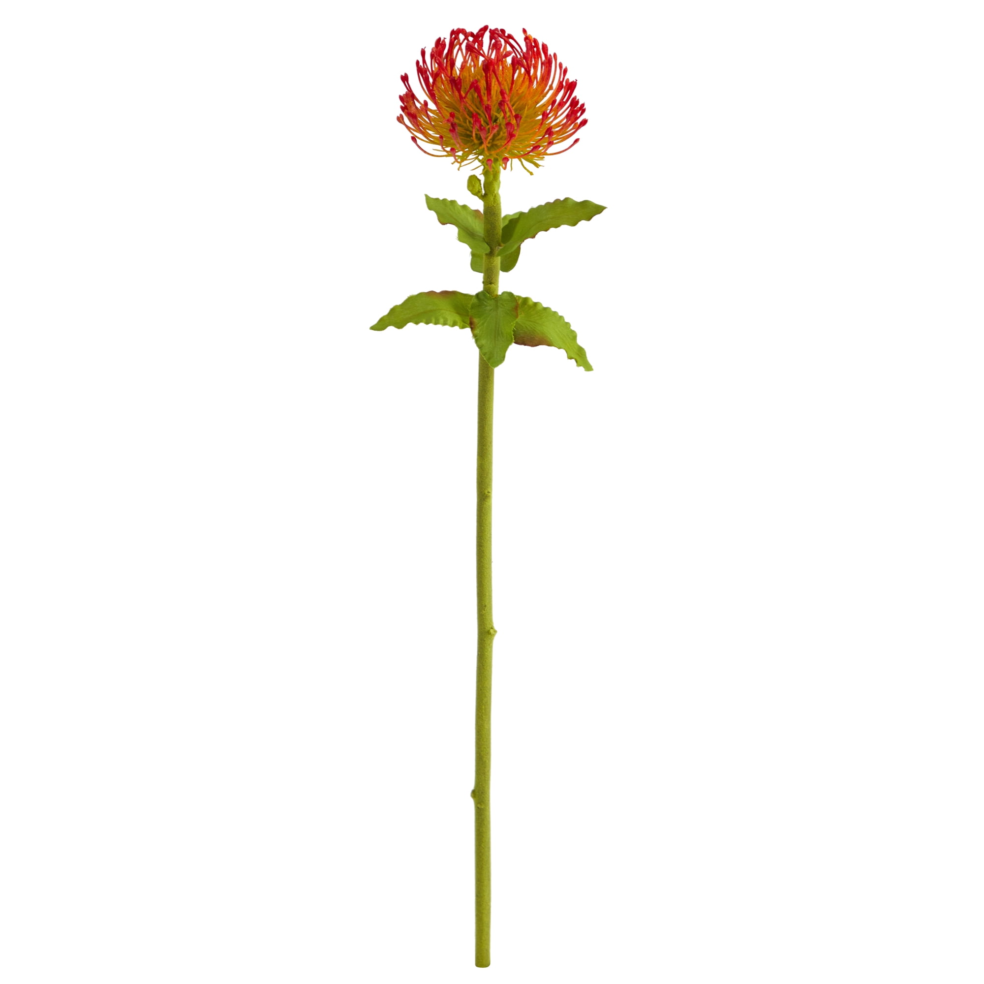 Nearly Natural 24in. Pincushion Artificial Flower (Set of 6), Red