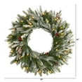 thumbnail image 1 of Nearly Natural 24in. Snowed Artificial Christmas Wreath with 50 Warm White LED Lights and Pine Cones, 1 of 5