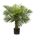 thumbnail image 1 of Nearly Natural 26" Robellini Palm Artificial Tree, 1 of 4