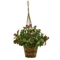 thumbnail image 1 of Nearly Natural 26in. Green Variegated Holly Artificial Plant in Hanging Basket (Real Touch), 1 of 3