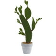 thumbnail image 1 of Nearly Natural 27" Plastic/Polyester Cactus Artificial Plant, Green, 1 of 4