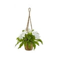 thumbnail image 1 of Nearly Natural 29in. Phalaenopsis Orchid and Fern Artificial Plant in Hanging Basket, 1 of 1