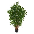 thumbnail image 1 of Nearly Natural 3.5' Black Olive Artificial Tree, 1 of 5