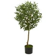 thumbnail image 1 of Nearly Natural 3.5' Olive Artificial Tree, 1 of 4