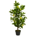 thumbnail image 1 of Nearly Natural 3' Lemon Artificial Tree, 1 of 4