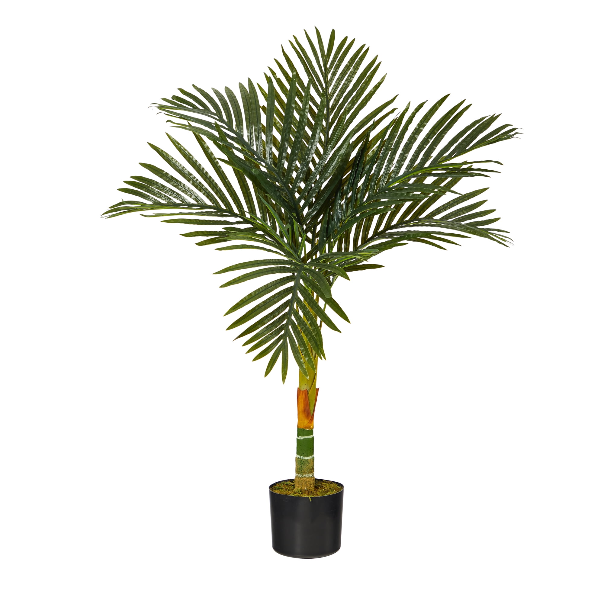 Tropic Breeze 3' Golden Cane Palm in Bamboo-Like Planter