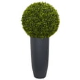thumbnail image 1 of Nearly Natural 30 in. Boxwood Artificial Topiary Plant in Gray Cylinder Planter (Indoor/Outdoor), 1 of 5