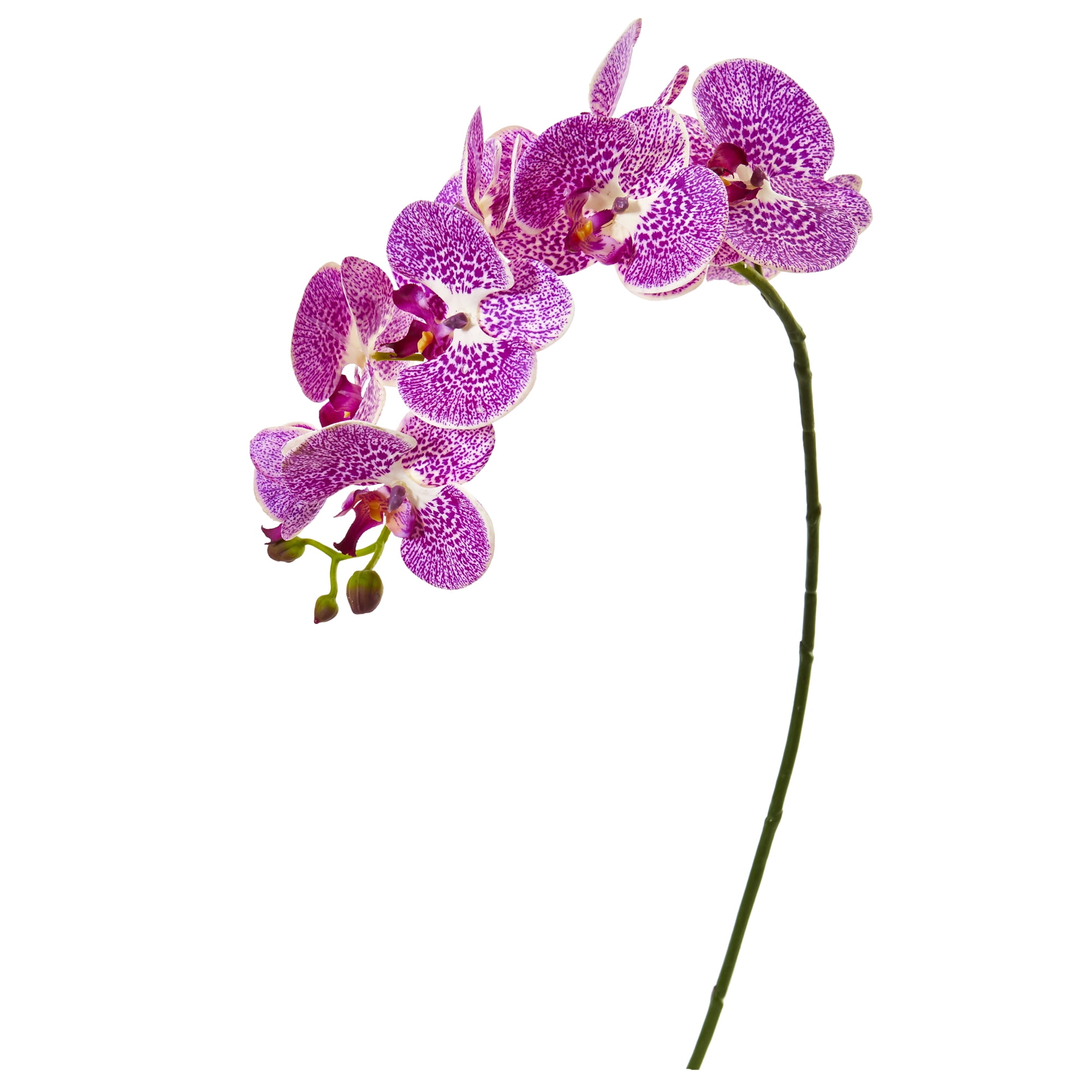 Nearly Natural 30in. Phalaenopsis Orchid Artificial Flower (Set of 6), Purple Cream