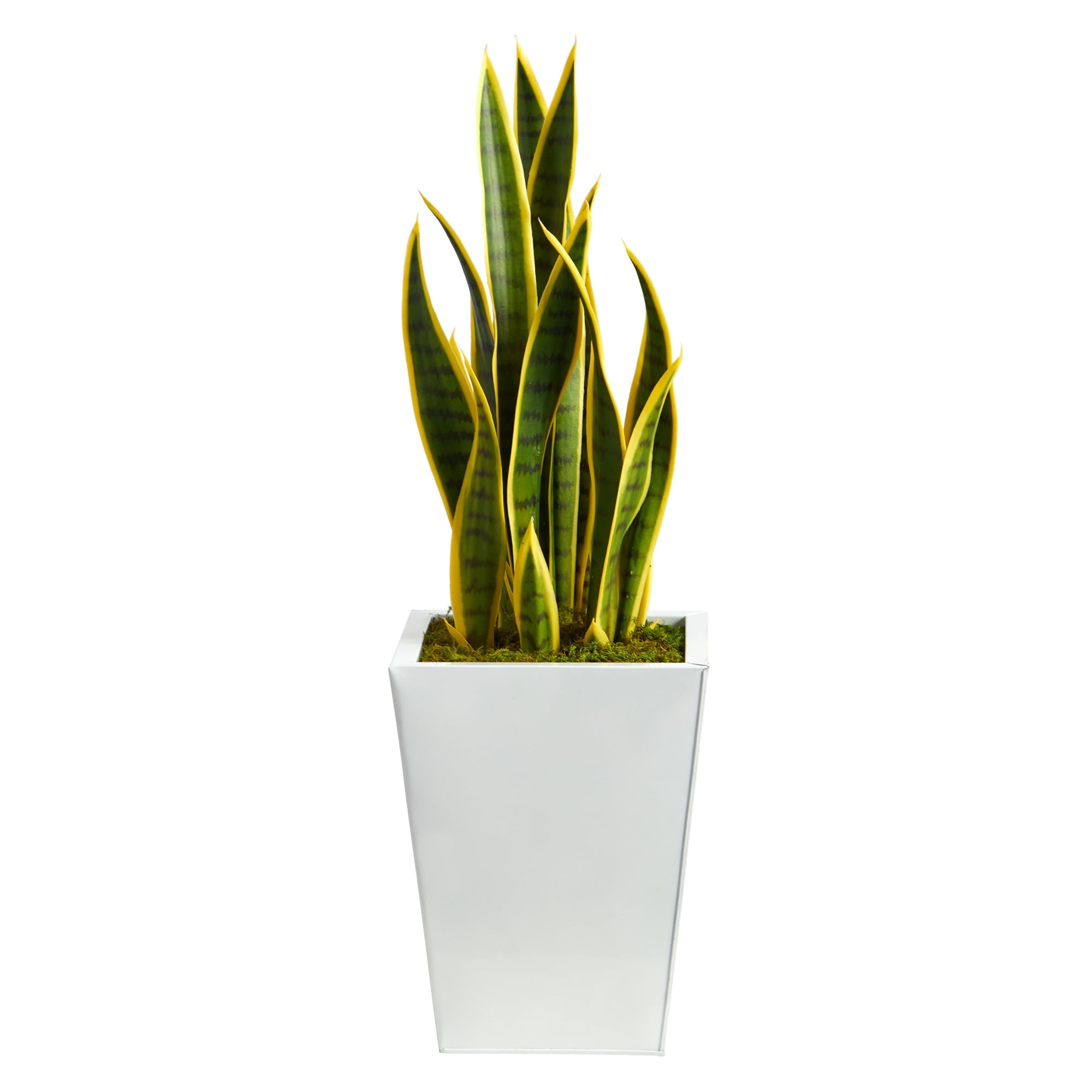 Nearly Natural 31" Sansevieria Artificial Plant