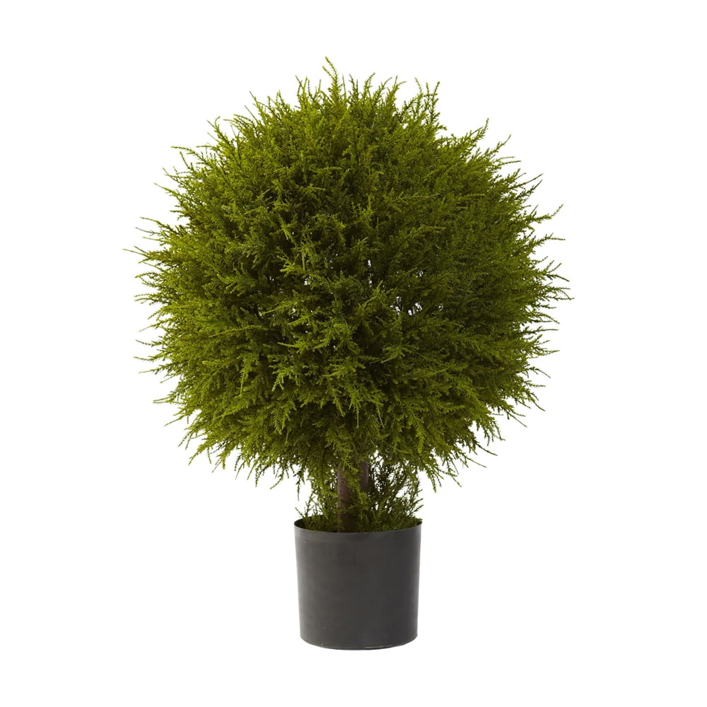 32'' Green Silk Cedar Ball Topiary in Black Planter