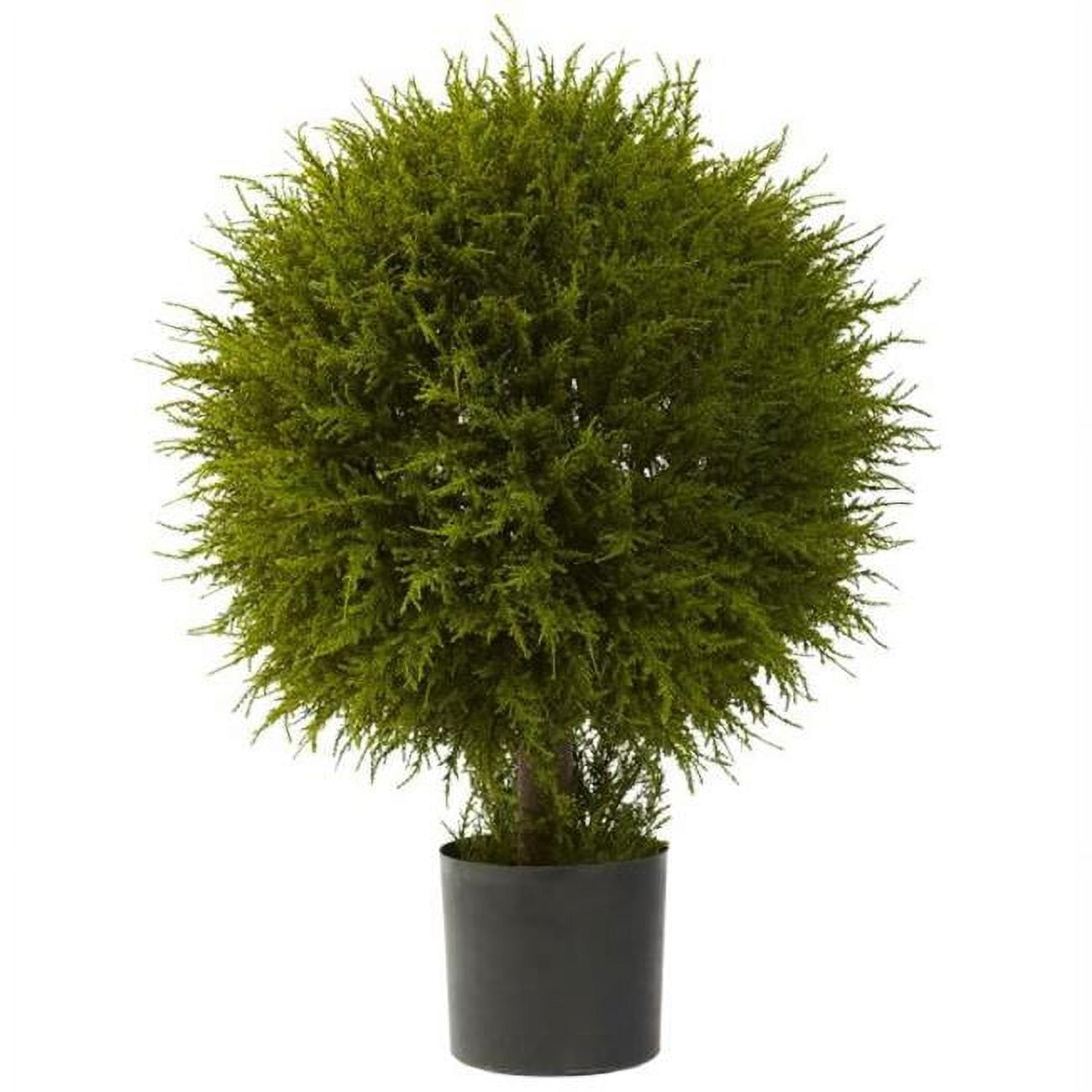 32'' Green Silk Cedar Ball Topiary in Black Planter