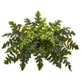 thumbnail image 1 of Nearly Natural 32in. Holly Fern Artificial Ledge Plant, 1 of 3