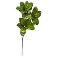 thumbnail image 1 of Nearly Natural 35" Magnolia Leaf Artificial Spray Plant (Set of 3), Green, 1 of 2