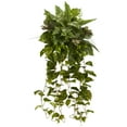 thumbnail image 1 of Nearly Natural 36” Mixed Greens Hanging Artificial Plant (Set of 2), 1 of 1