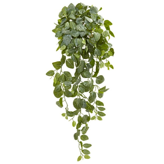 Nearly Natural 36in. Fittonia Hanging Bush Artificial Plant (Set of 2) (Real Touch) , Green