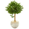 thumbnail image 1 of Nearly Natural 38" Olive Artificial Topiary in Planter UV Resistant, 1 of 3