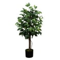 thumbnail image 1 of Nearly Natural 3ft. Artificial Double Trunk Ficus Tree, 1 of 3