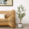 thumbnail image 1 of Nearly Natural Olive Artificial Potted Tree - 3' - Green, 1 of 6