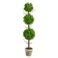 thumbnail image 1 of Nearly Natural 3ft. Eucalyptus Triple Ball Topiary Artificial Tree, 1 of 4
