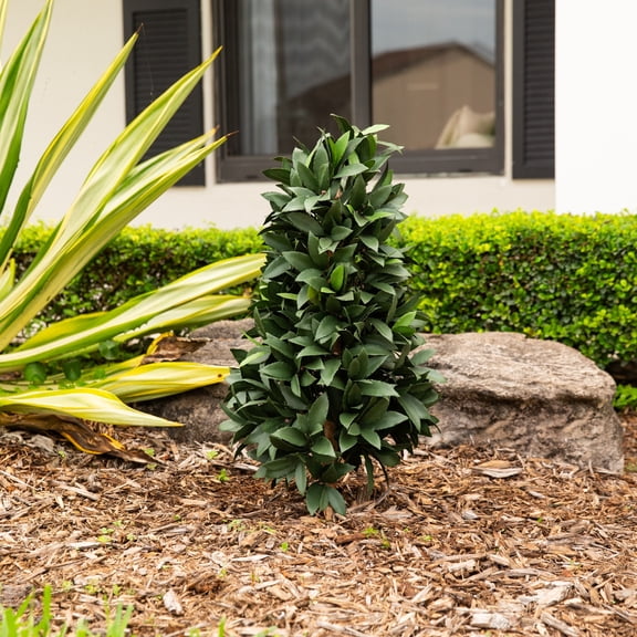 Nearly Natural UV- Resistant Artificial Outdoor Laurel Plant with Ground Stake - 14" - Green