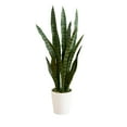 thumbnail image 1 of Nearly Natural 3ft. UV Resistant Artificial Sansevieria Plant in White Decorative Planter (Indoor/Outdoor), 1 of 7