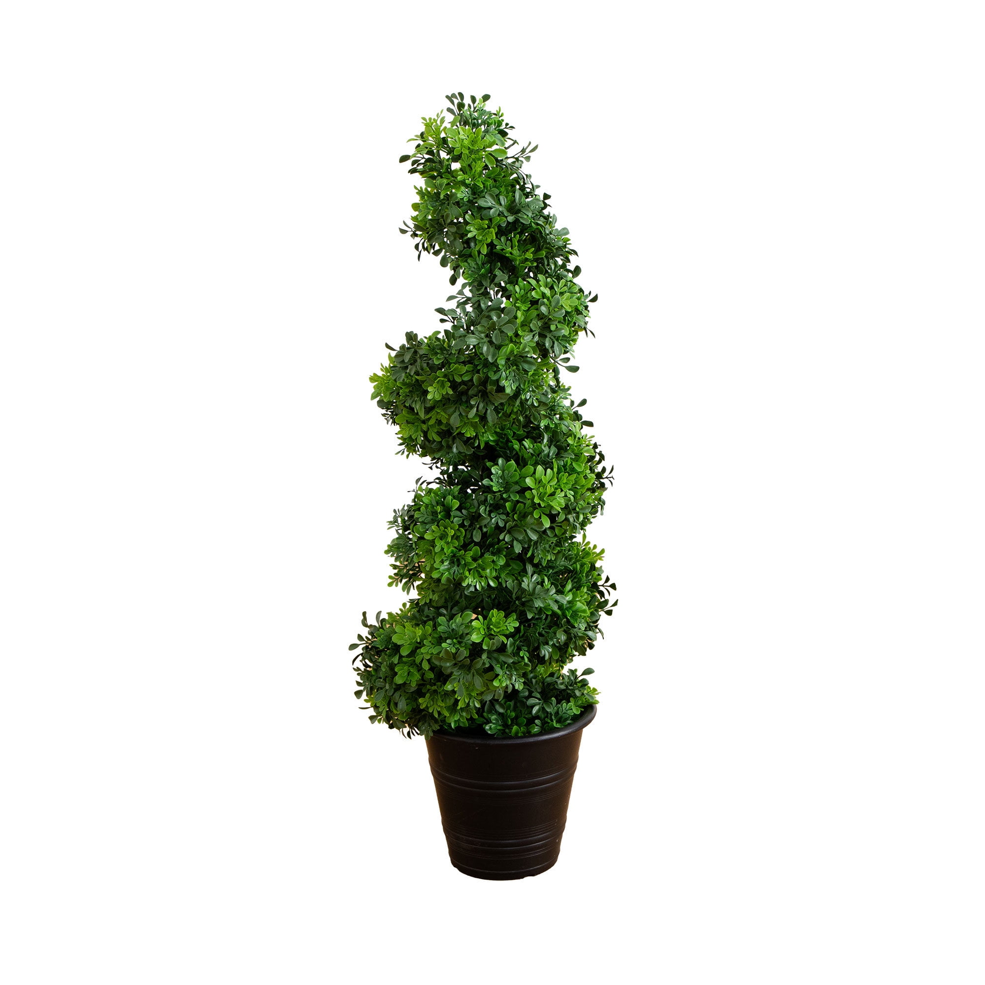 Elegant Spiral Boxwood Topiary in Planter, 4ft Outdoor Classic