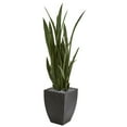 thumbnail image 1 of Nearly Natural 4.5’ Green Sansevieria Artificial Plant in Black Planter, 1 of 1