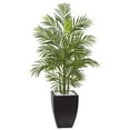 thumbnail image 1 of Nearly Natural 4.5 ft. Areca Palm Tree with Black Wash Planter UV Resistant (Indoor/Outdoor), 1 of 8