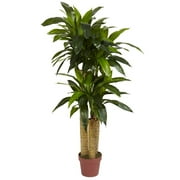 Nearly Natural 4 Real Touch Corn Stalk Dracaena Artificial Plant, Green