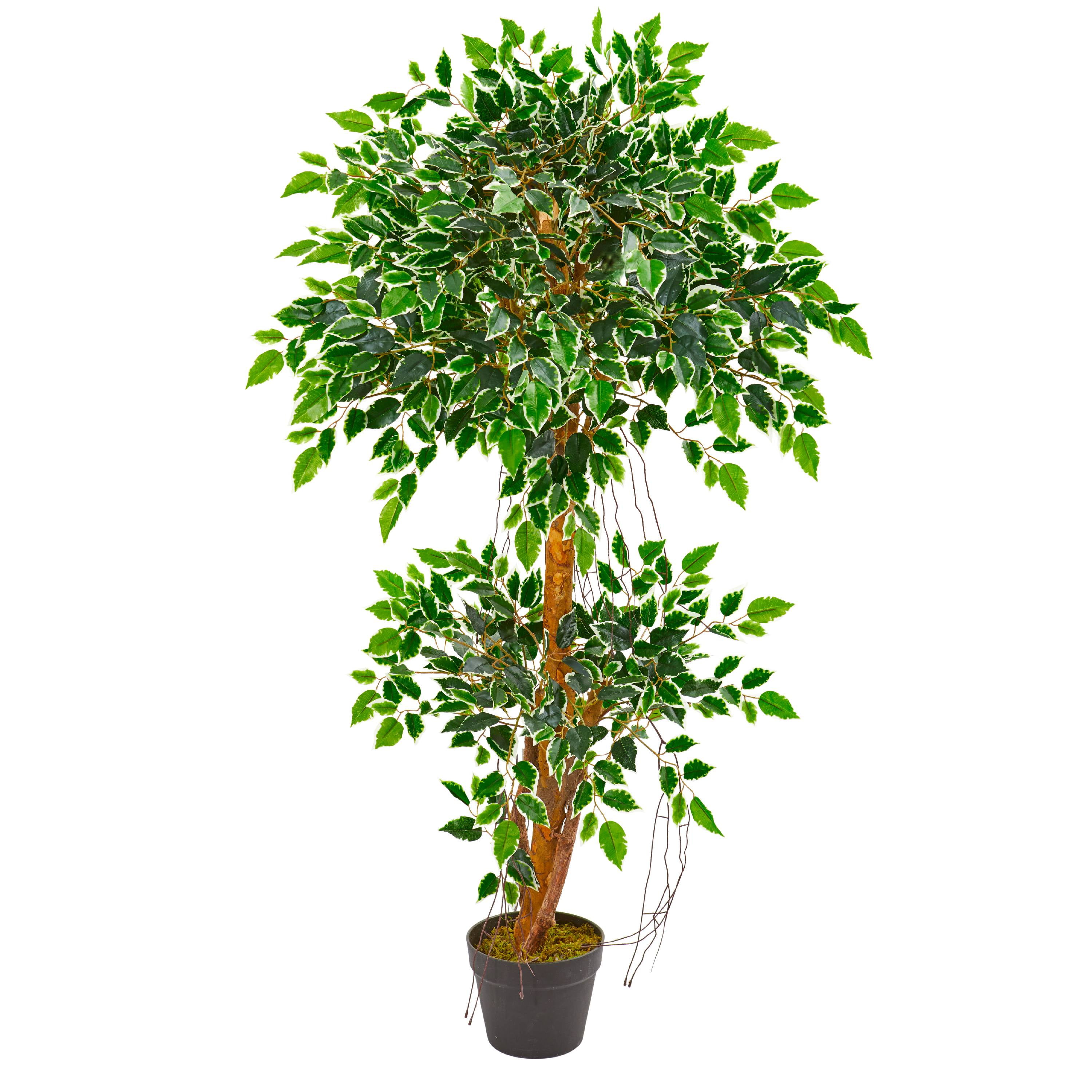 4ft Variegated Green Faux Ficus Potted Plant