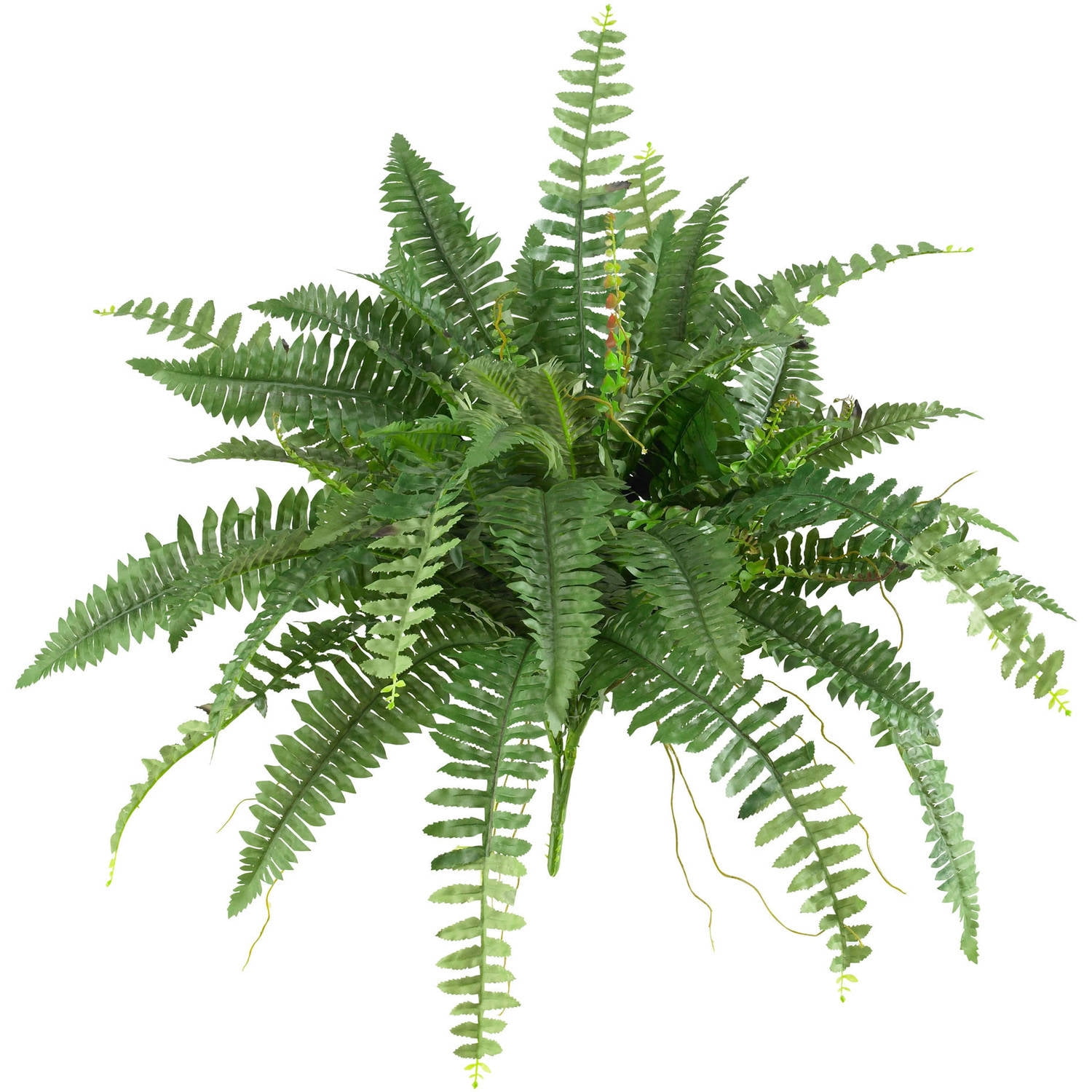 40" Green Plastic Boston Fern Artificial Plant Centerpiece