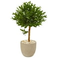 thumbnail image 1 of Nearly Natural 40-In. Olive Topiary Artificial Tree in Sand Stone Planter UV Resistant (Indoor/Outdoor), 1 of 3